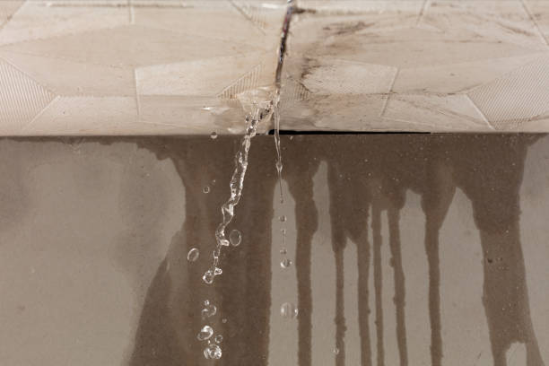 Professional Water Damage Repair technician working in Saint Augustine, FL
